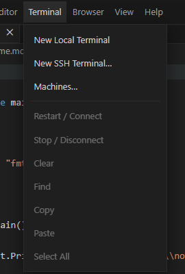 Terminal menu with local terminal, SSH, Machines, and session controls.
